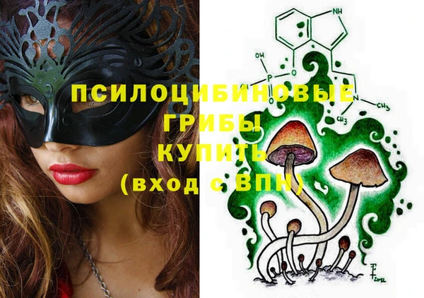 прущая мука Арсеньев