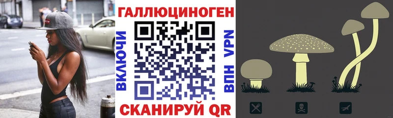 Галлюциногенные грибы GOLDEN TEACHER цены Сасово
